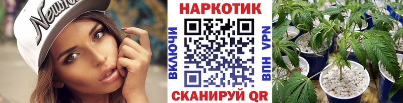 Какие есть наркотики Светогорск СК OMG ТОР Мефедрон КЕТАМИН Гашиш КОКАИН