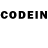 COCAIN Fish Scale AdriaNovy Family