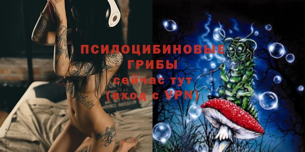 синтетический гашиш Богданович