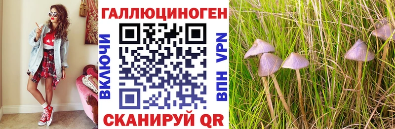 что такое   Светогорск  Галлюциногенные грибы мицелий 
